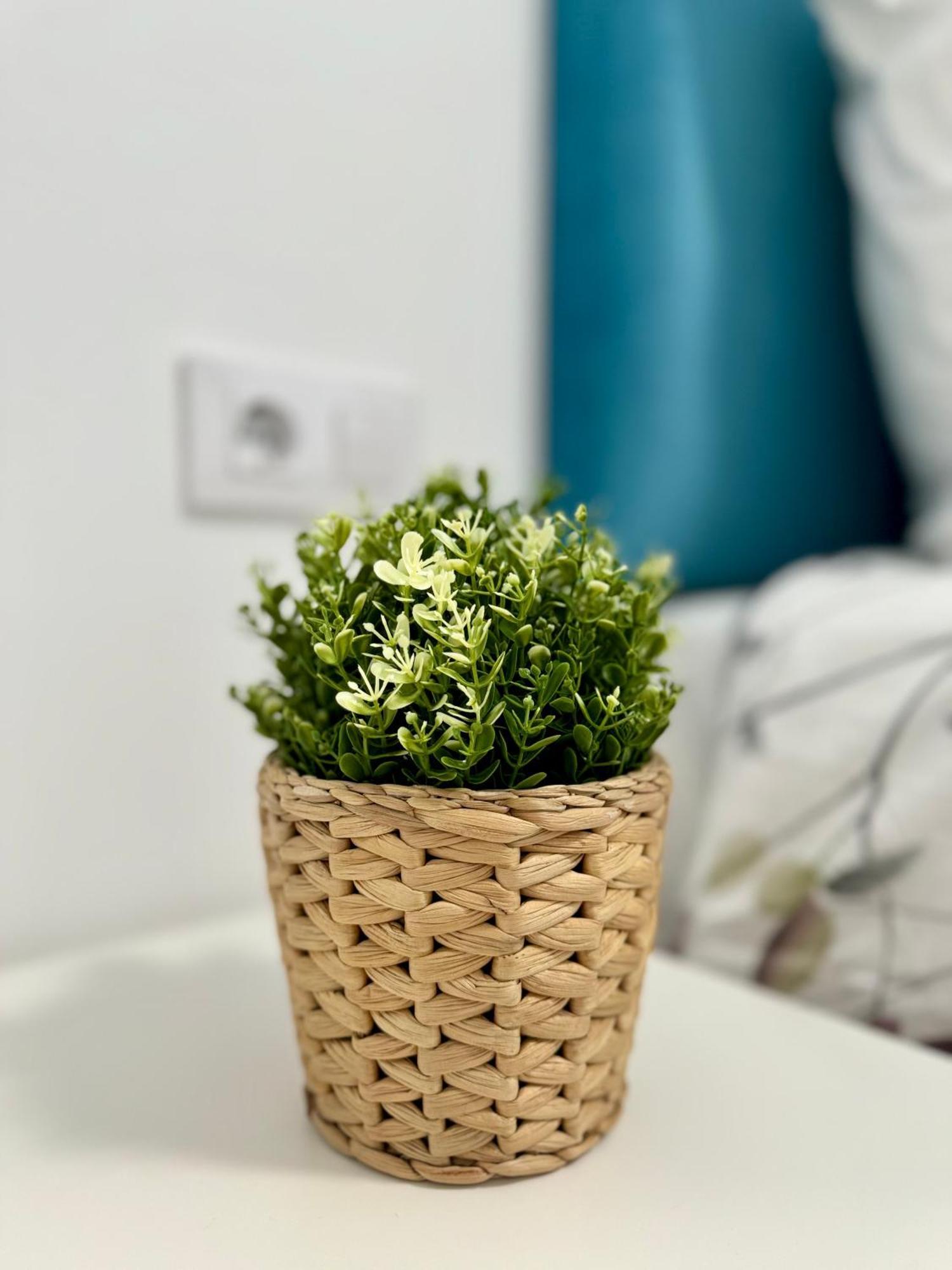 Apartamento Centrico Віго Екстер'єр фото
